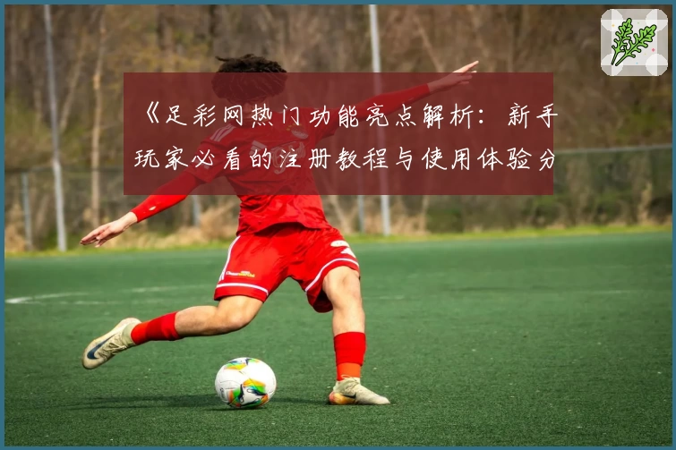 《足彩网热门功能亮点解析：新手玩家必看的注册教程与使用体验分享》
