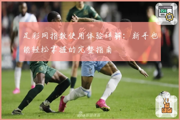 足彩网指数使用体验详解：新手也能轻松掌握的完整指南