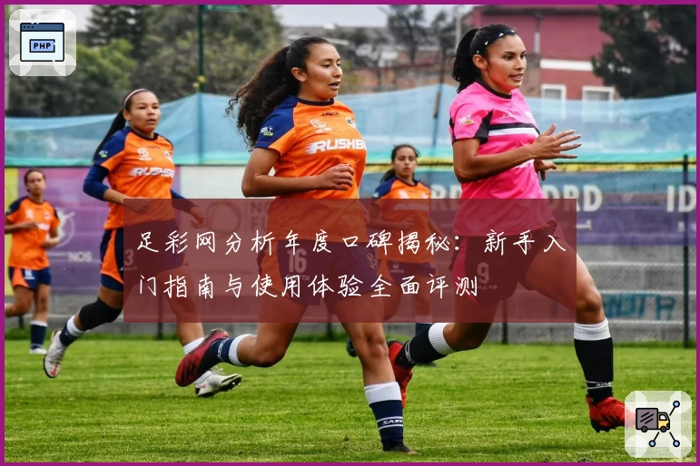 足彩网分析年度口碑揭秘：新手入门指南与使用体验全面评测