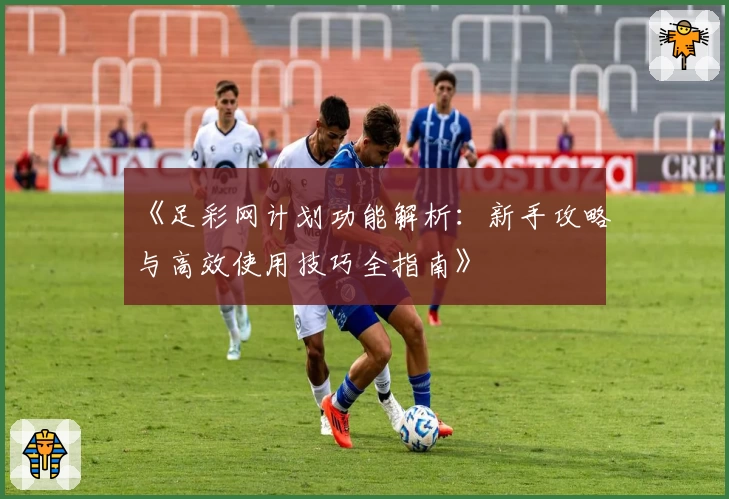 《足彩网计划功能解析：新手攻略与高效使用技巧全指南》
