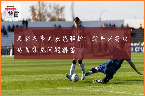 足彩网串关功能解析：新手必备攻略与常见问题解答