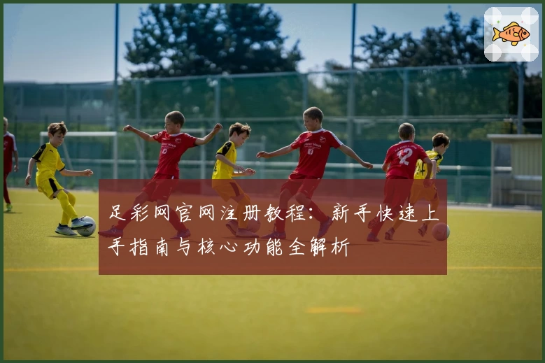 足彩网官网注册教程：新手快速上手指南与核心功能全解析